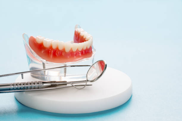  Evansville, IN Holistic Dental Care Services Pros
